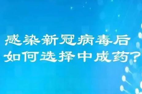 先父沈之瑜受命寻找一大会址的前前后后