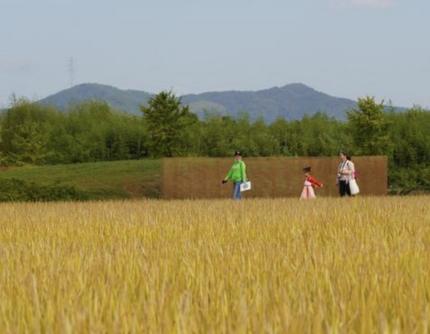 中共中央、全国人大常委会、国务院等领导同志分别参加十三届全国人大四次会议代表团分组审议