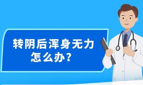 台风排班表